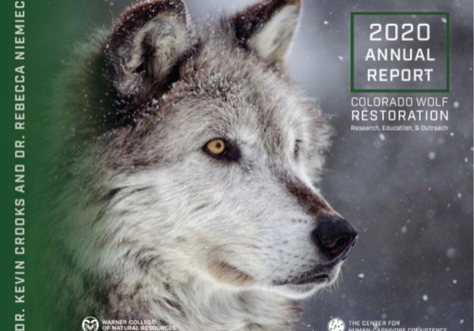 CHCC 2020 Annual Report Cover
