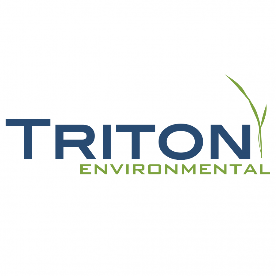 4b Triton Logo 600x600 05 Copy