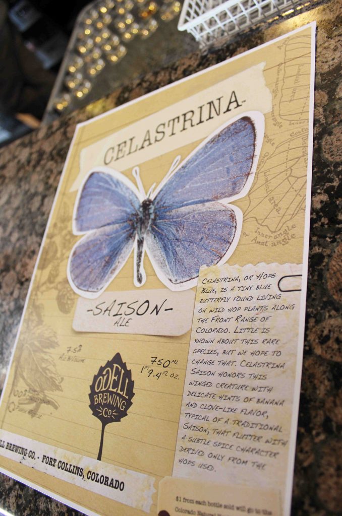 Celastrina poster