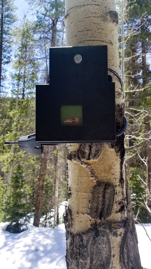 Acoustic recording unit (ARU) attached to a tree at one of the control sites.