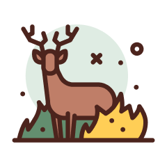 Humane Wildlife Management