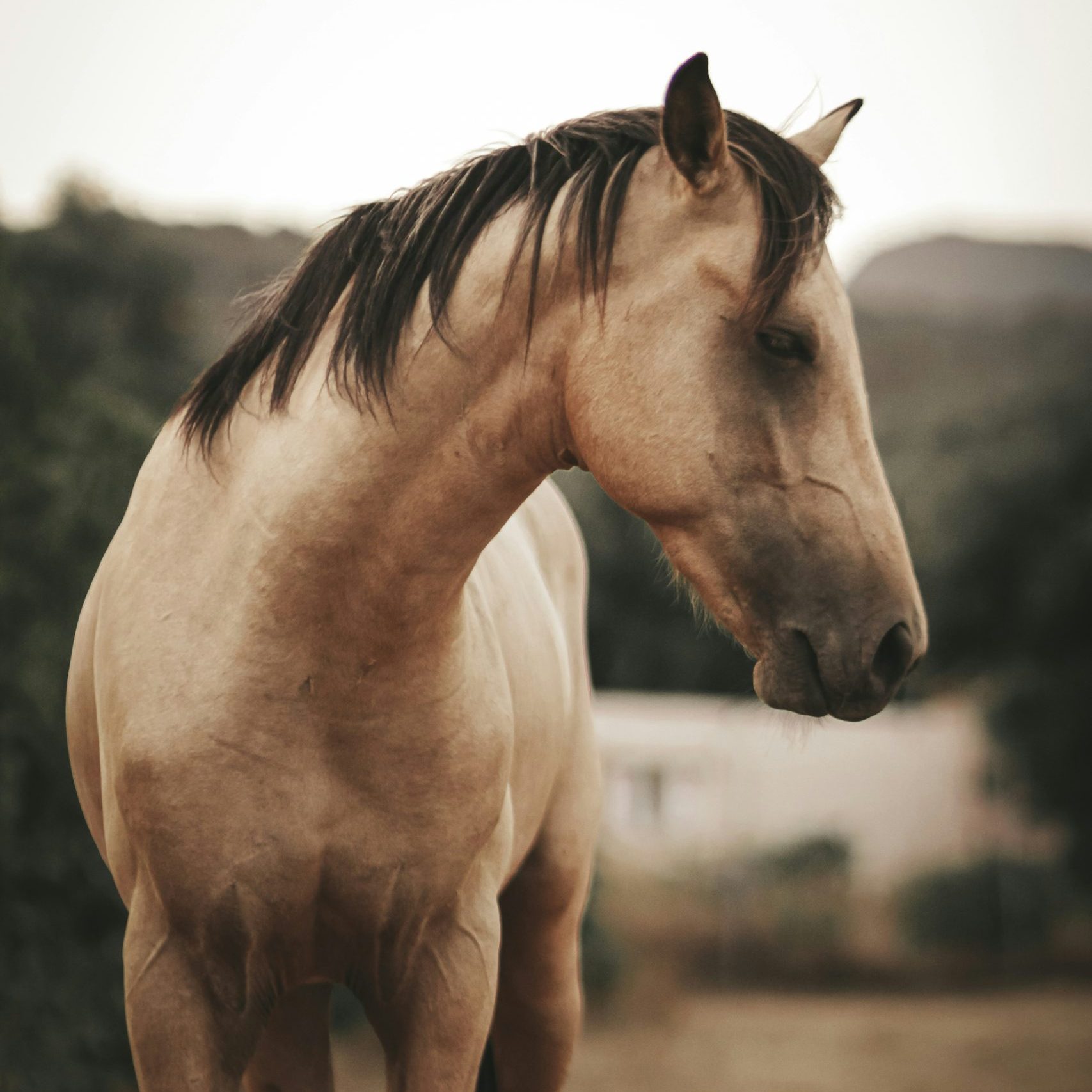 Apostolos Vamvouras FjvIsYAqoic Unsplash