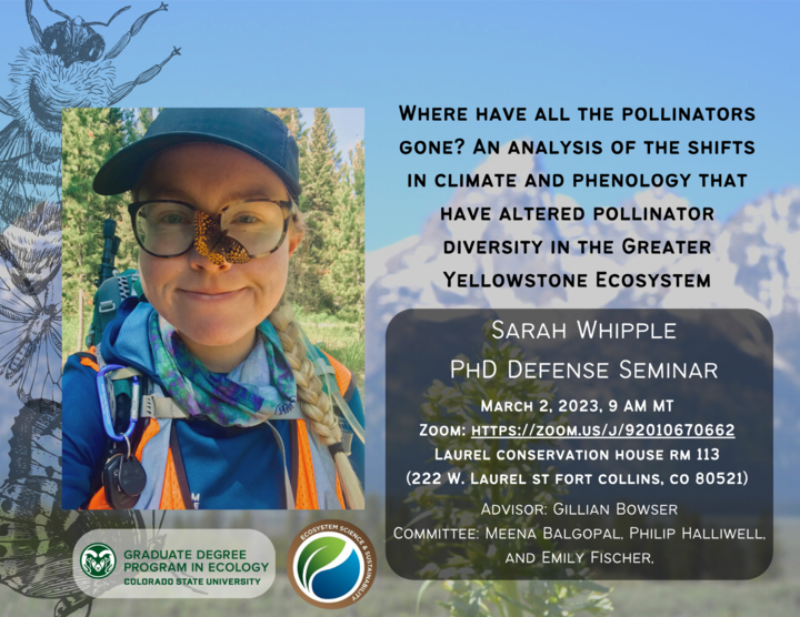 Where have all the pollinators gone? An analysis of the shifts in climate and phenology that have altered the pollinator diversity in the greater yellowstone ecosystem. Sarah Whipple PhD Defense Seminar. March 2,2023 at 9AM MT.