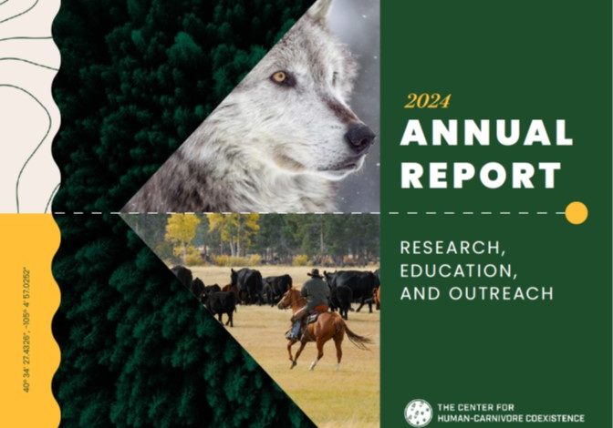 CHCC Annual Report 2024 Cover