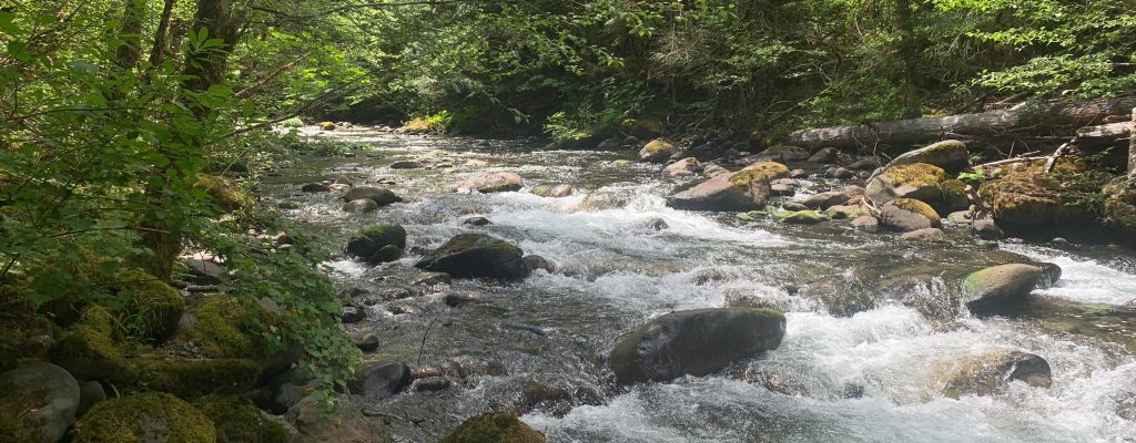 Oregon V2 | Fluvial Geomorphology at CSU