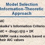 slide114