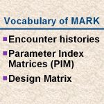 slide12