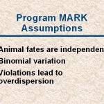 slide128