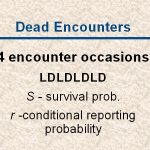 slide19