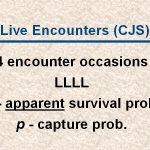 slide31