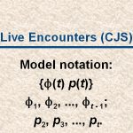 slide36