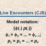 slide37