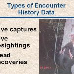 slide4