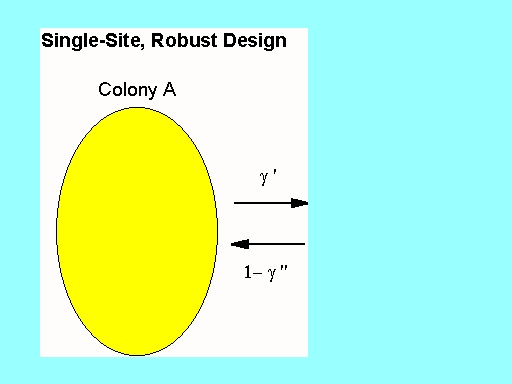 The Robust Design For Capture-Recapture Studies: Analysis Using Program ...