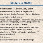 slide6