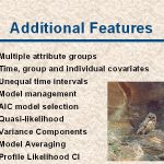 slide7