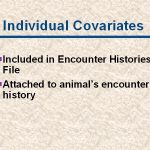 slide89