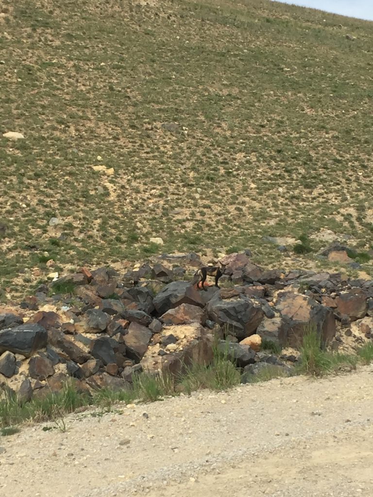 Summitville Gold Mine Field Tour, 2016