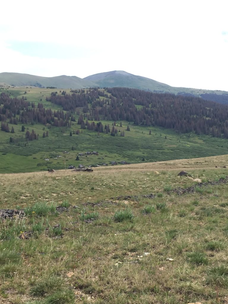 Summitville Gold Mine Field Tour, 2016