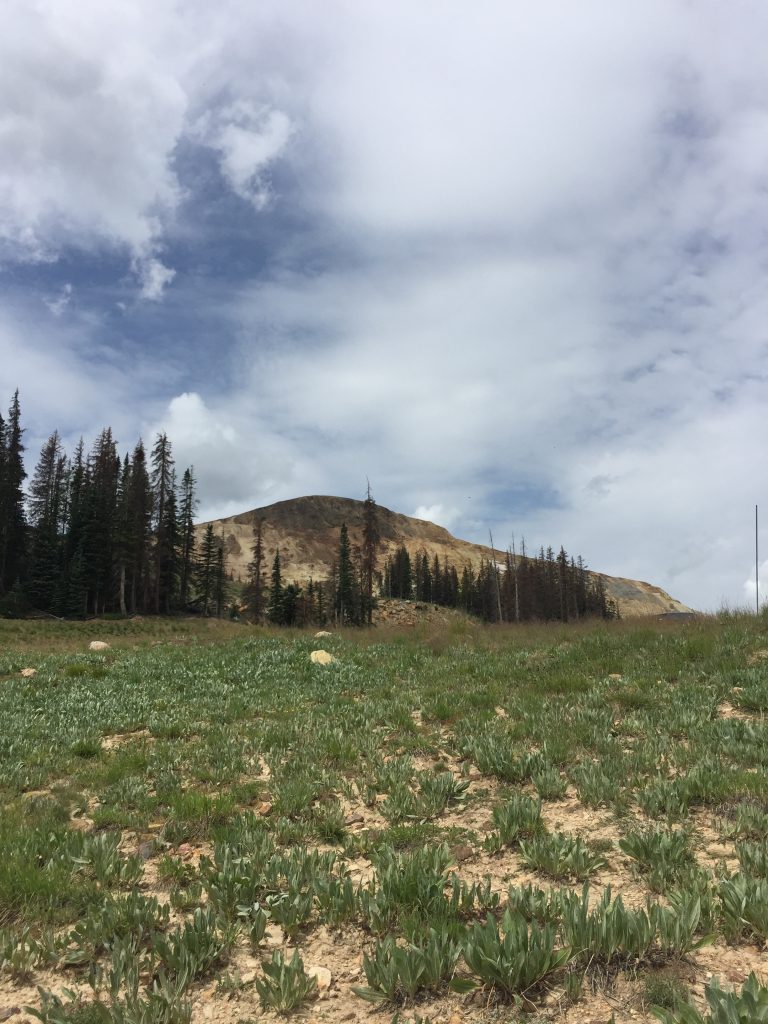 Summitville Gold Mine Field Tour, 2016
