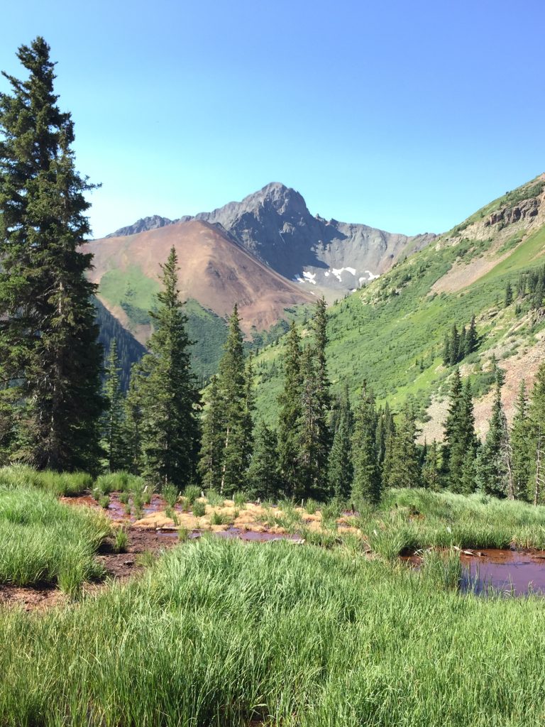 Silverton Fen Restoration Field Tour, 2016
