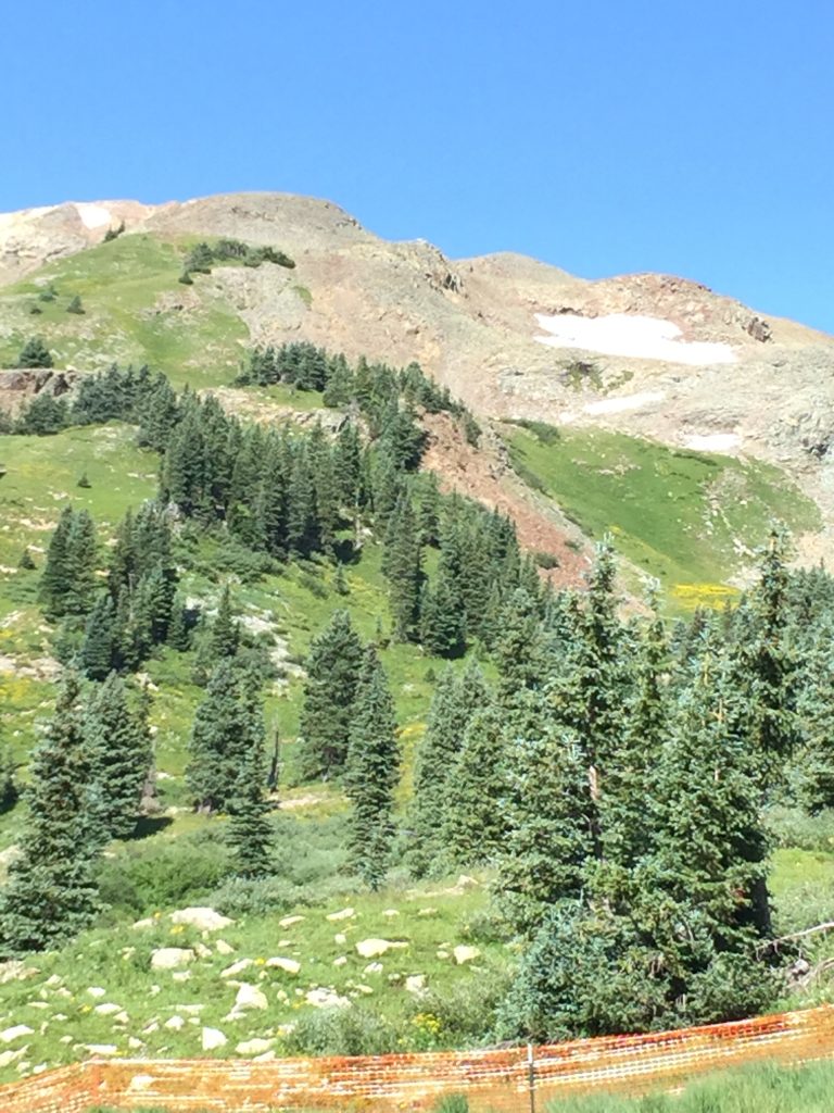 Silverton Fen Restoration Field Tour, 2016