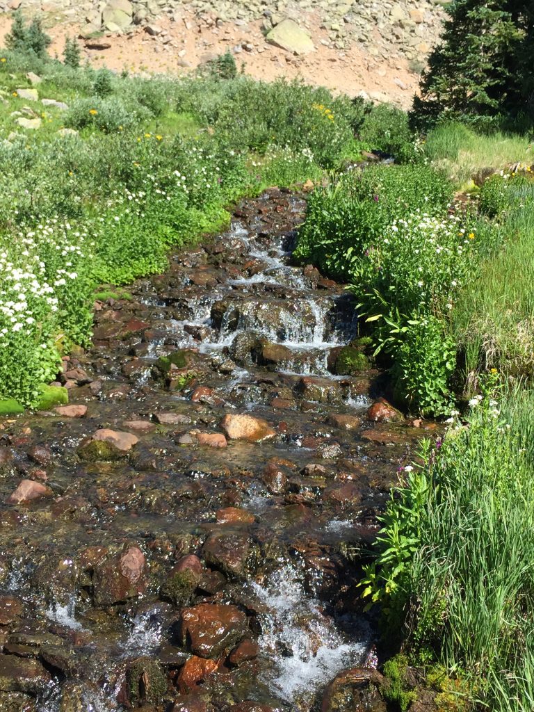 Silverton Fen Restoration Field Tour, 2016