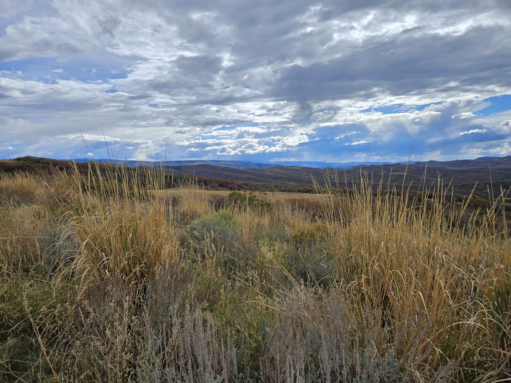 Peabody Energy's Seneca West II Reclaimed Mine, Day 1, 2025