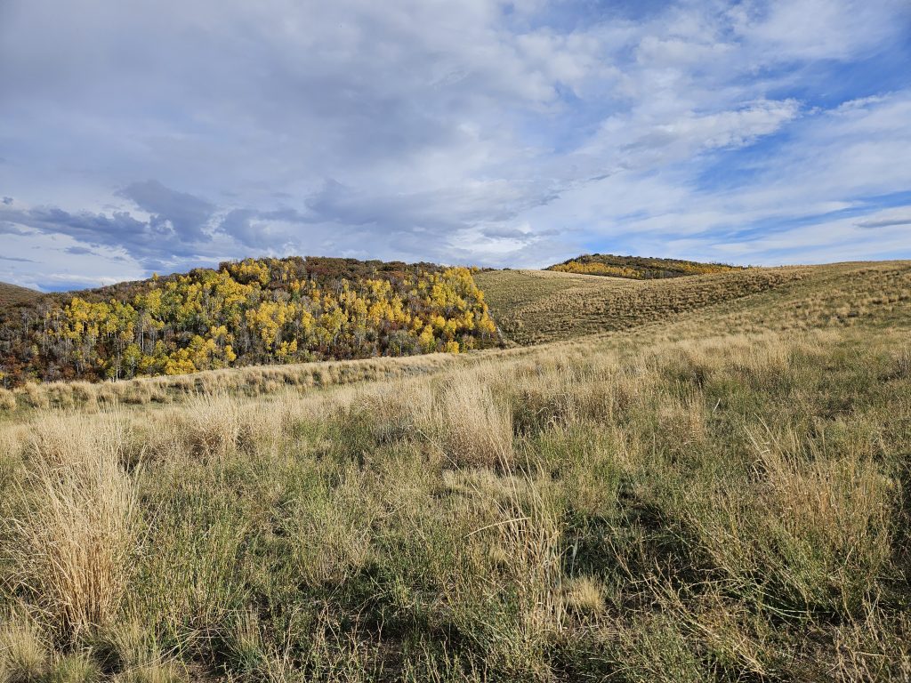 Peabody Energy's Seneca West II Reclaimed Mine, Day 1, 2025