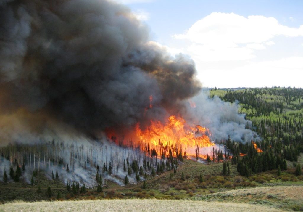 BLM Fire and Aviation Photo Contest 2020
Category Fuels Management and Prescribed Fire
Photo by: Mark Thonhoff, BLM
Upper Bille's Aspen Prescribed Fire, Pinedale, Wyoming 2012