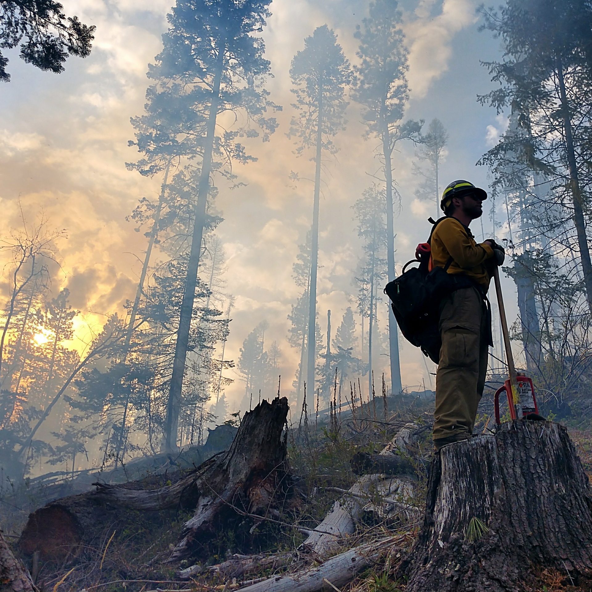 BLM Fire and Aviation Photo Contest 2020
Category Fuels Management and Prescribed Fire
Photo by: Debbie Plummer, BLM
9 Mile Prescribed Fire, Wallace, Idaho 2019