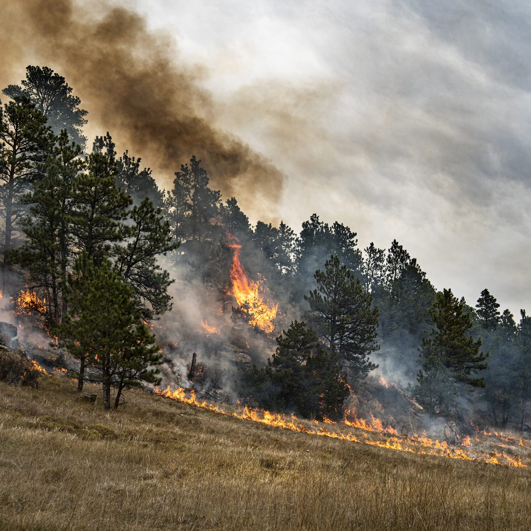 BLM Fire and Aviation Photo Contest 2020
Category: The Land We Protect
Phtoo by: Colby K. Neal, BLM
Bull Mountain, Mountana 2020