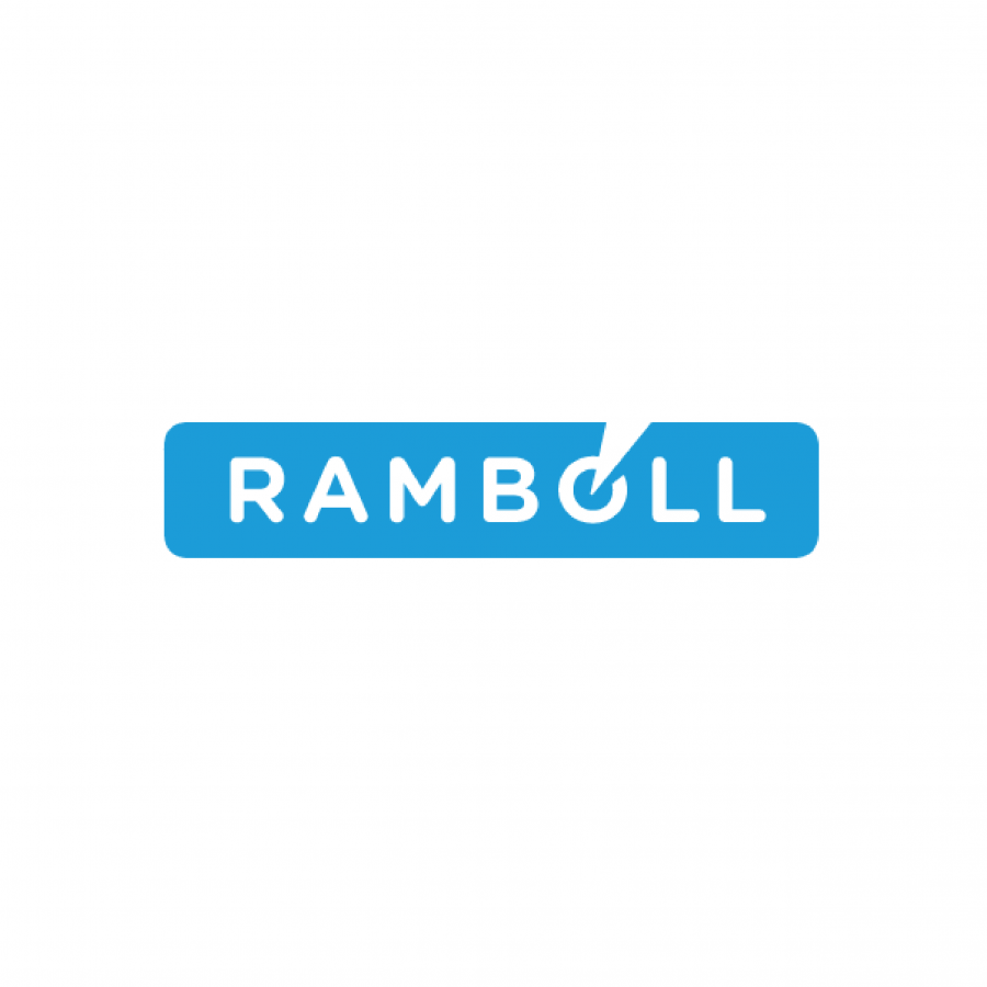 5 Ramboll Logo Cyan RGB 600x600 09