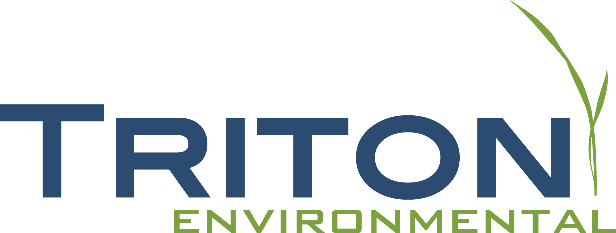 Contributiing Triton Logo Without Background