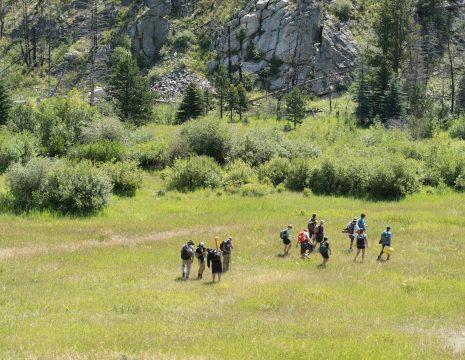 Colorado State University Warner College of Natural Resources learn principles of rangeland measurement and management during NR 220 Natural Resources Ecology and Measurements class near the Mountain Campus, July 31, 2018.